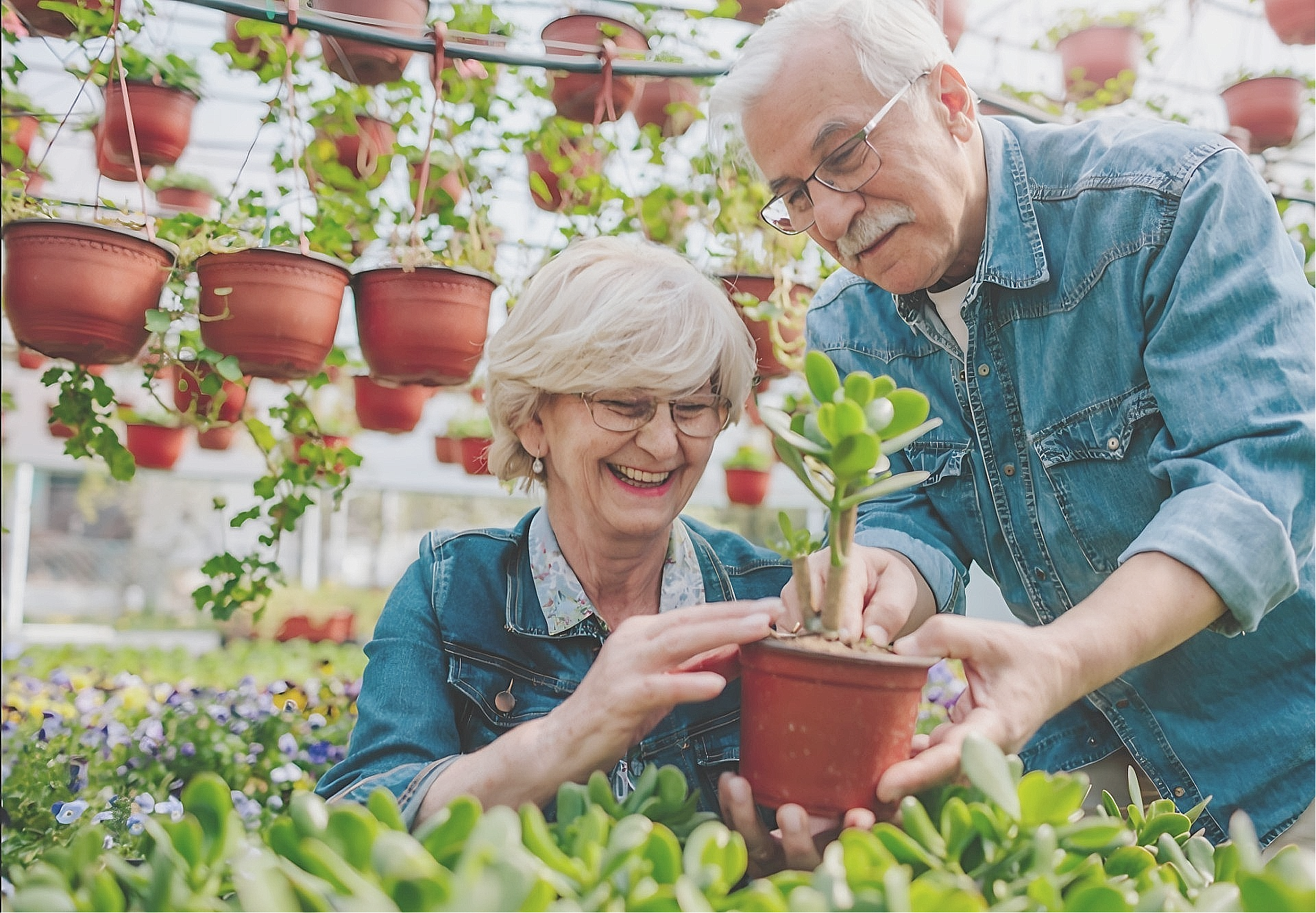 Springtime Activities for Seniors
