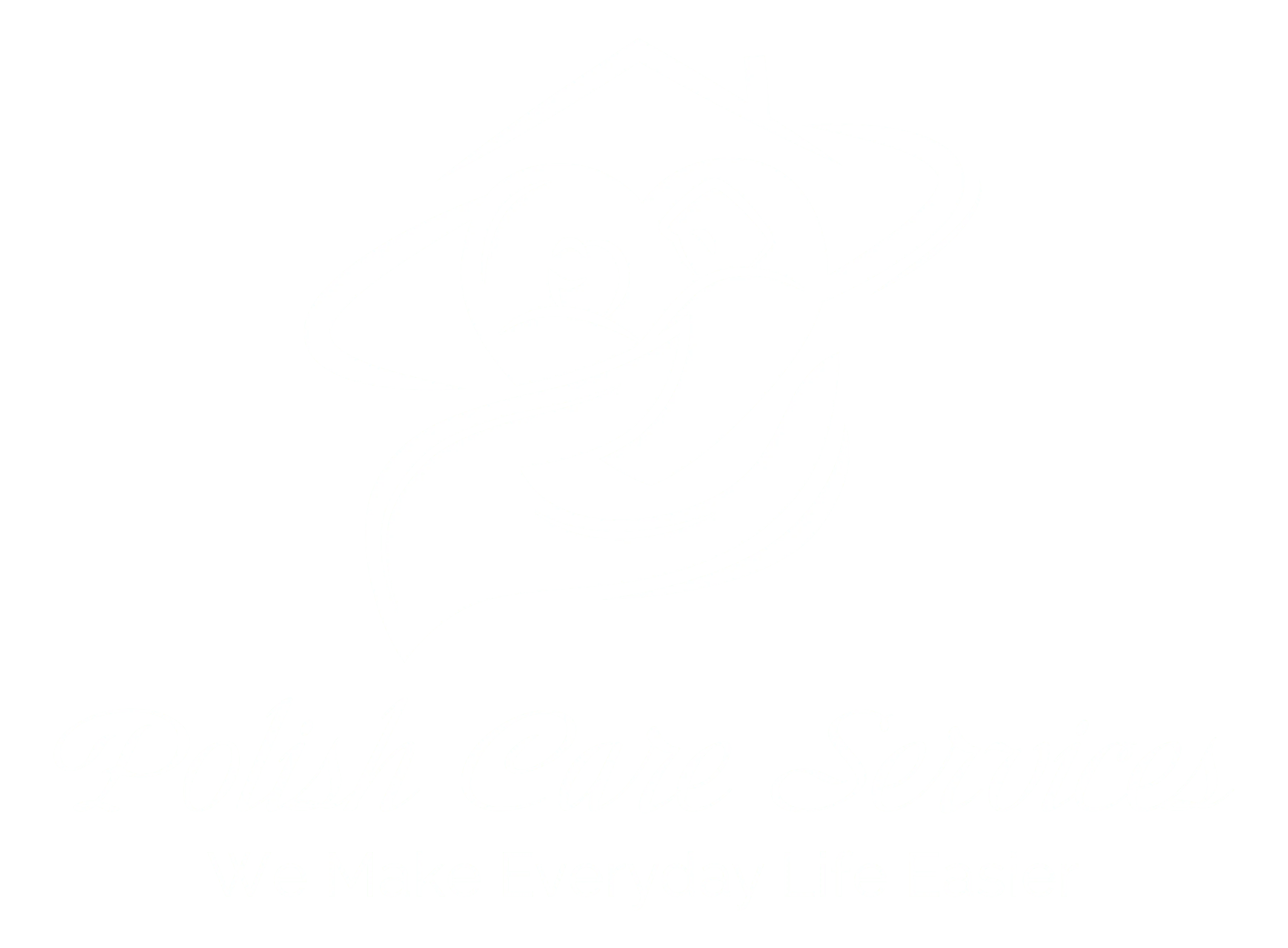 polish care services logo
