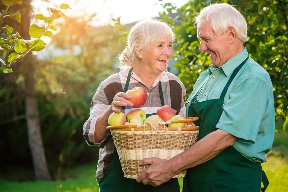embracing autumn engaging fall activities for seniors