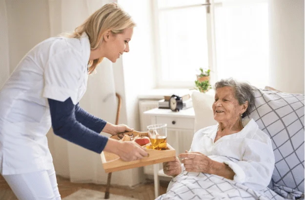 In Home Senior Care Services